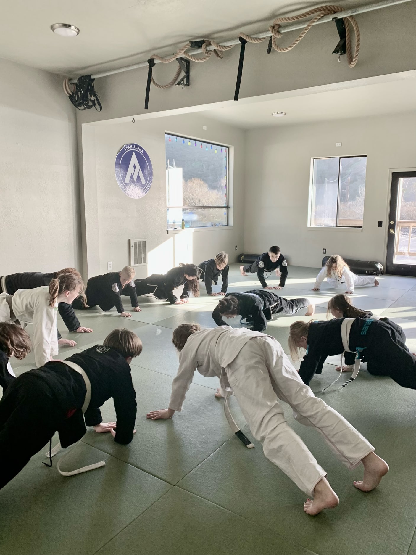 Team Alpha BJJ Point Arena Programs